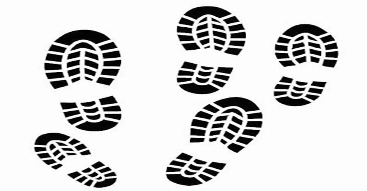 Marketing Digital para Leigos